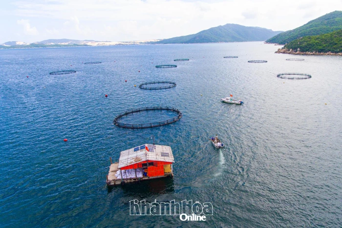 Fisheries of Khanh Hoa develops sustainably