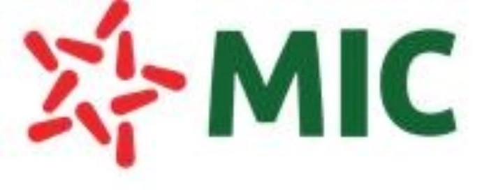 Thông báo mất ấn chỉ bảo hiểm