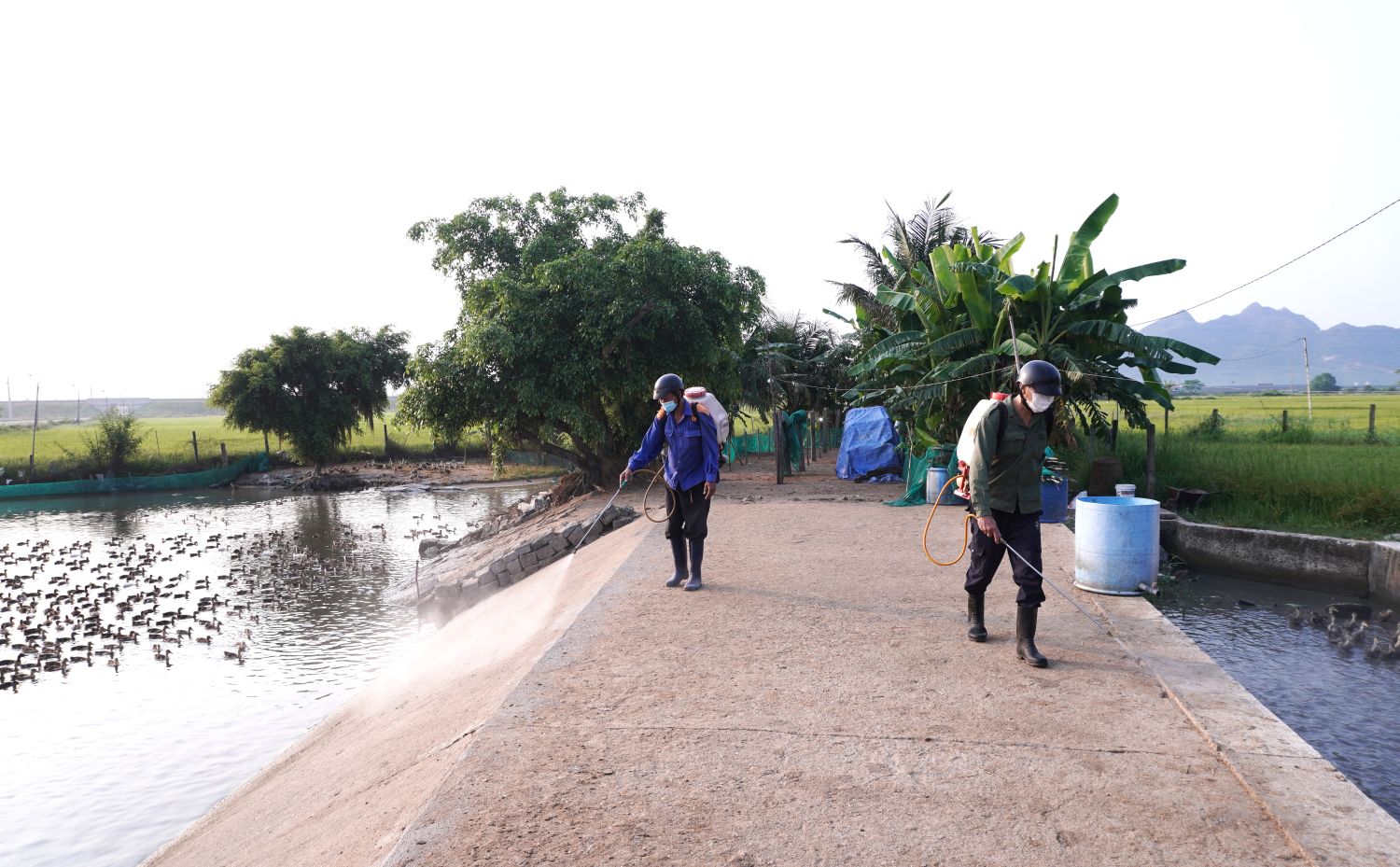 Phun hóa chất vệ sinh, khử trùng, tiêu độc môi trường chăn nuôi tại cơ sở chăn nuôi nông hộ thuộc thôn Mỹ Đồng.