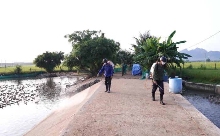 Xã Vạn Ninh triển khai phun hóa chất vệ sinh, khử trùng, tiêu độc môi trường chăn nuôi đợt 1 