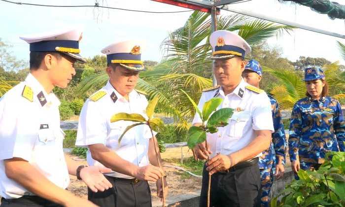 Phòng Hậu cần - Kỹ thuật Vùng 4 Hải quân phát động ươm, chiết, nhân giống 30.000 cây trồng