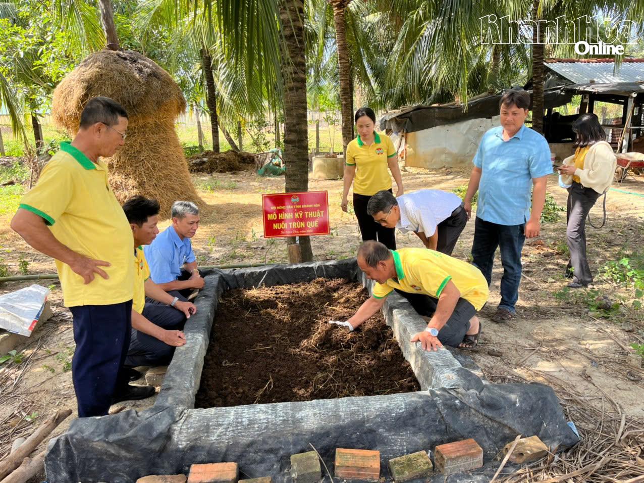 Nông dân xã Bắc Ninh Hòa nuôi sâu canxi từ phụ phẩm nông nghiệp.