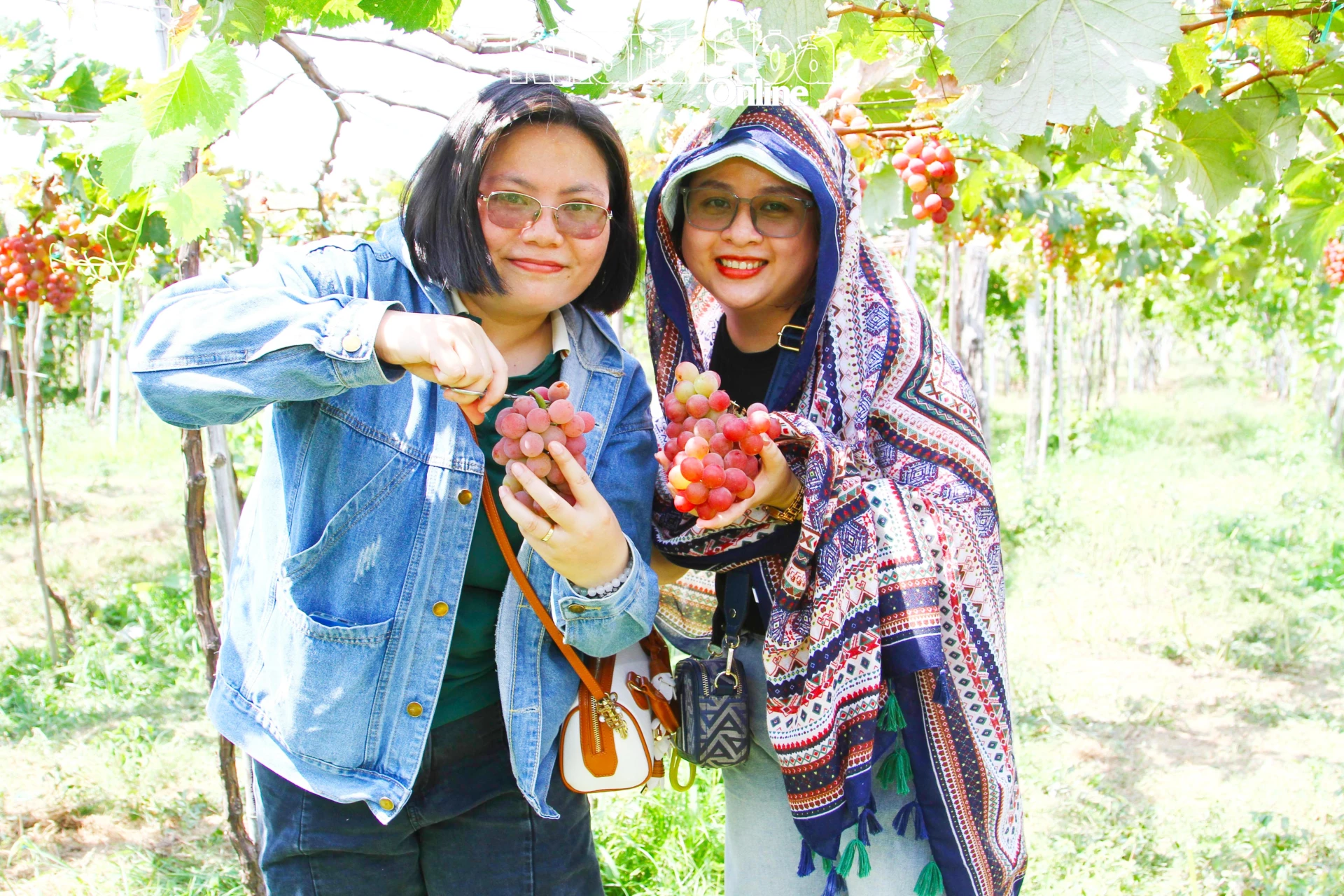 Làm mới kỳ nghỉ với hành trình Ninh Phước