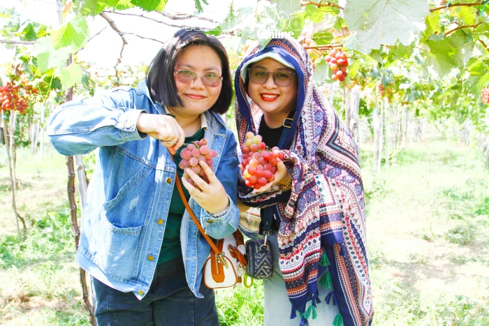 Làm mới kỳ nghỉ với hành trình Ninh Phước