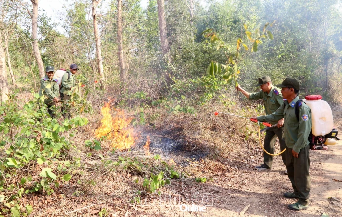 Tăng cường phòng cháy, chữa cháy rừng mùa khô