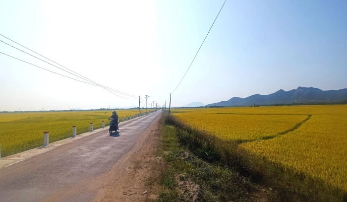 Lấy ý kiến Nhân dân về điều chỉnh Quy hoạch Khu công nghiệp Vạn Lương