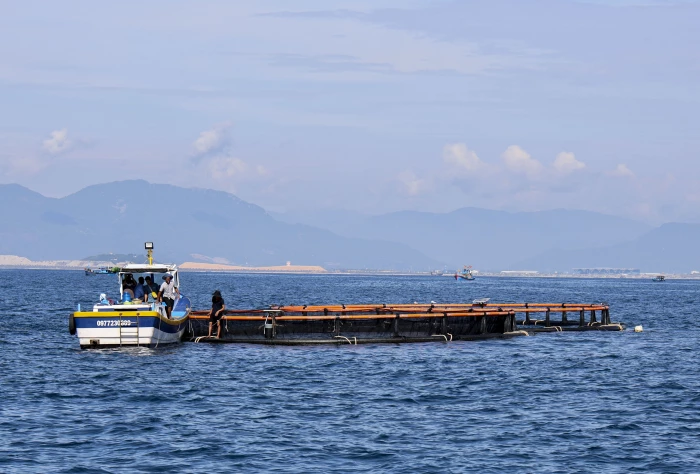 Quý I/2026, nuôi biển công nghệ cao đạt sản lượng 800 tấn