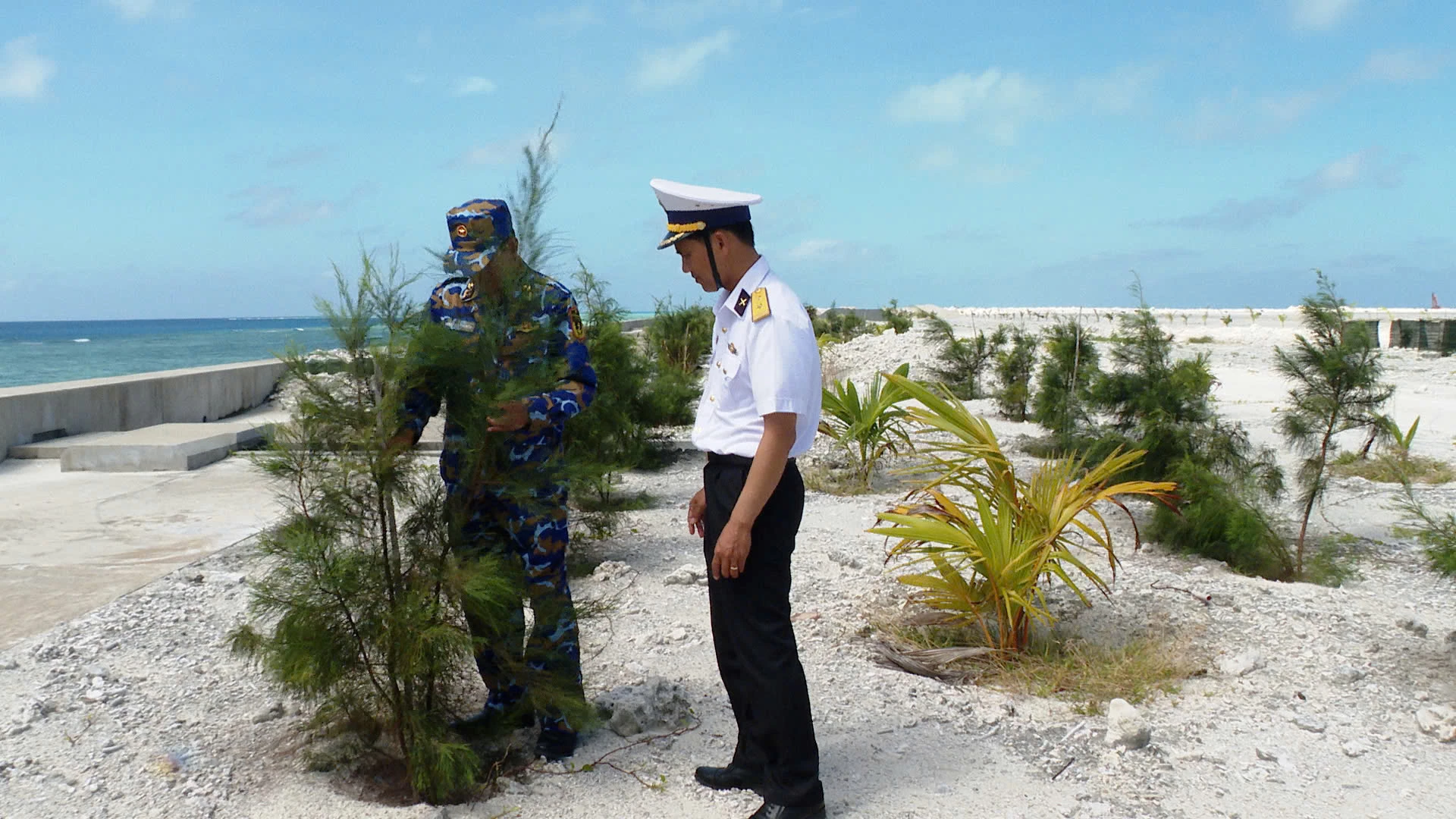 Xanh hóa các đảo ở Trường Sa