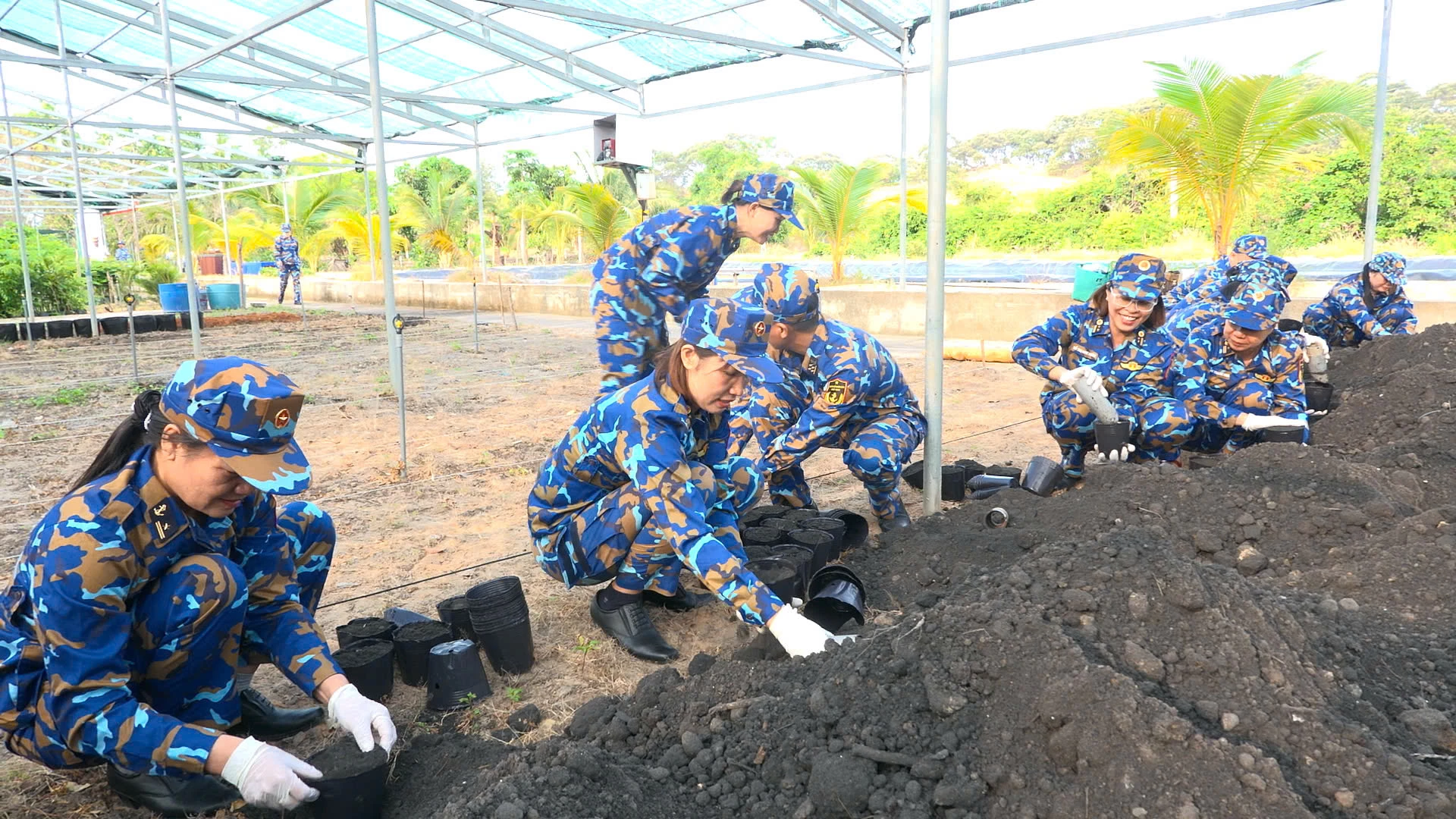 Cán bộ, hội viên phụ nữ Phòng Hậu cần - Kỹ thuật tích cực tham gia đóng bầu, chuẩn bị giá thể ươm cây