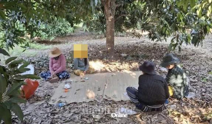 Công an xã Cam Hiệp triệt xóa điểm đánh bạc dưới hình thức xóc đĩa