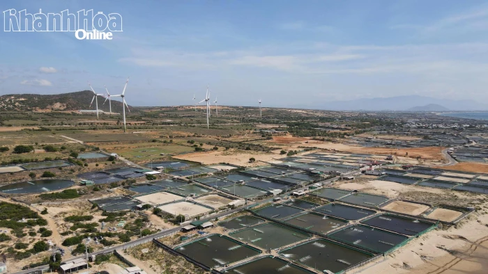 Tăng tốc giải phóng mặt bằng dự án điện hạt nhân