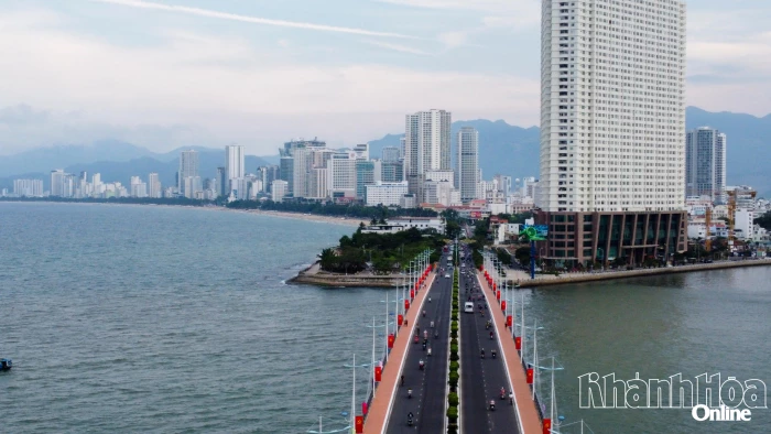 Từ định hướng chiến lược đến những bước đi đầu tiên