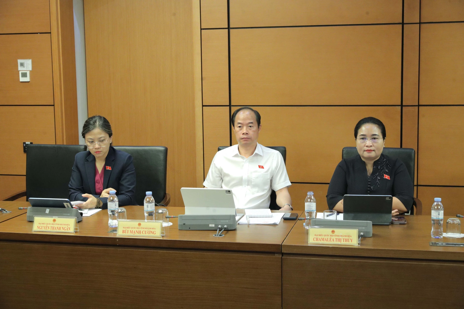 Các vị đại biểu Quốc hội tỉnh tham gia phiên thảo luận