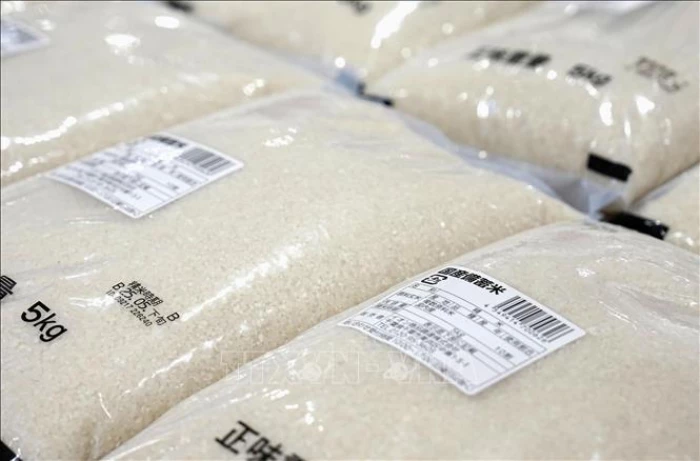 Chuyên gia dự báo giá gạo toàn cầu có thể tăng mạnh