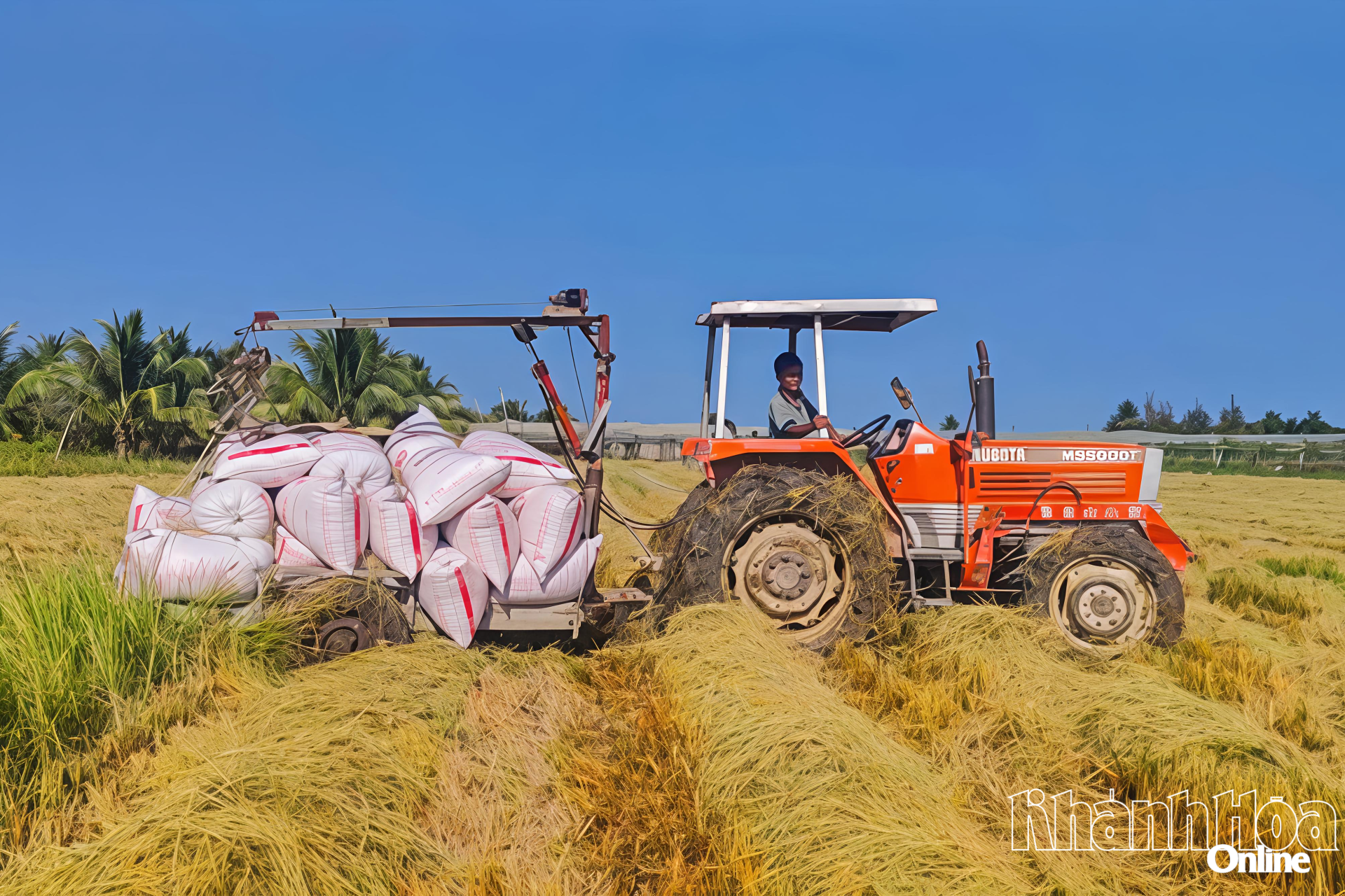 Dàn gắp lúa giúp giảm bớt sức lao động của con người.