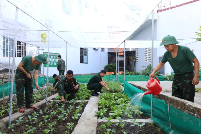 Đại đội Thông tin 18: Tăng gia sản xuất cải thiện đời sống cho chiến sĩ