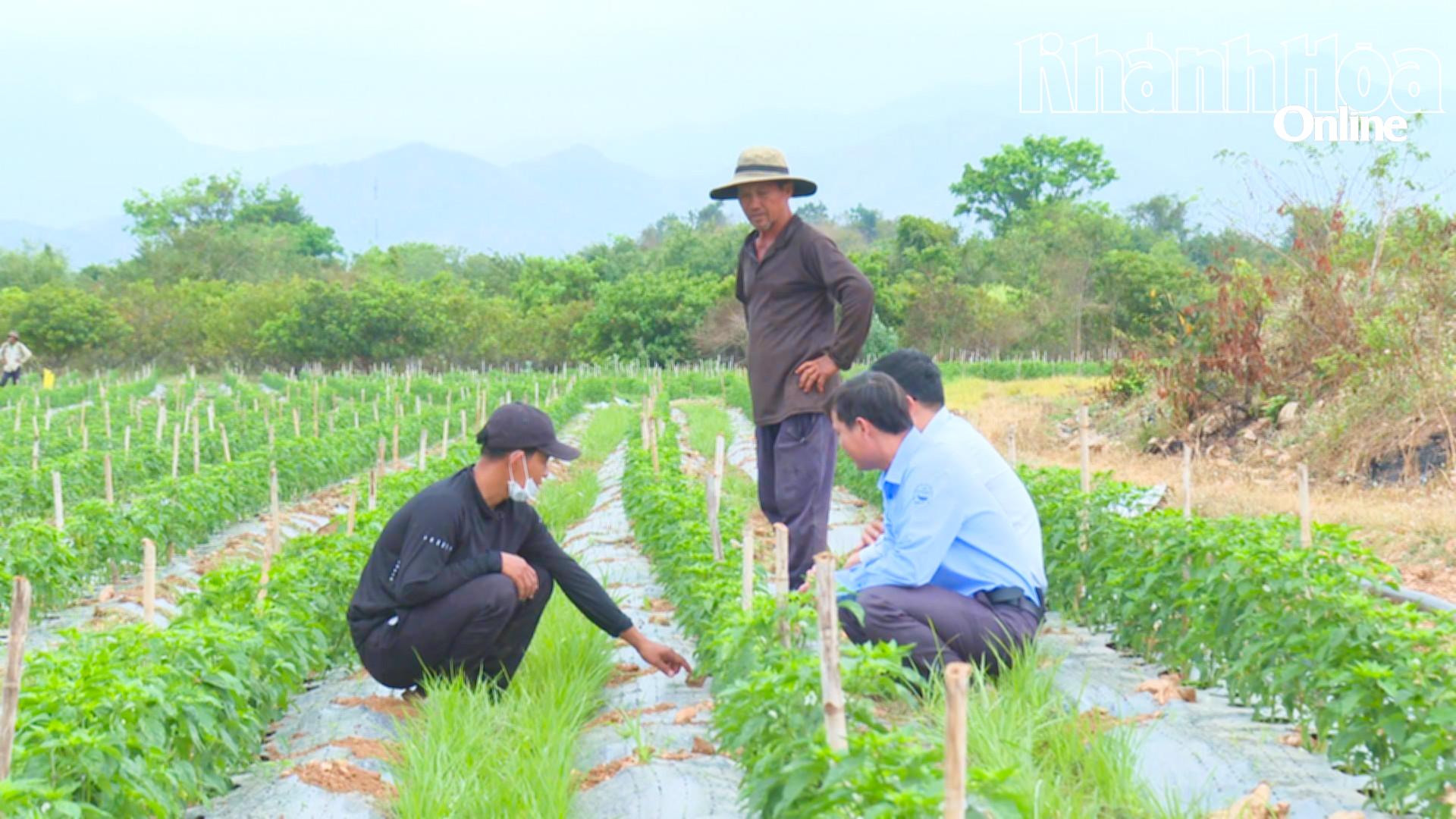 Nhân viên công ty thường xuyên kiểm tra thực tế nguồn nước để điều tiết hợp lý.