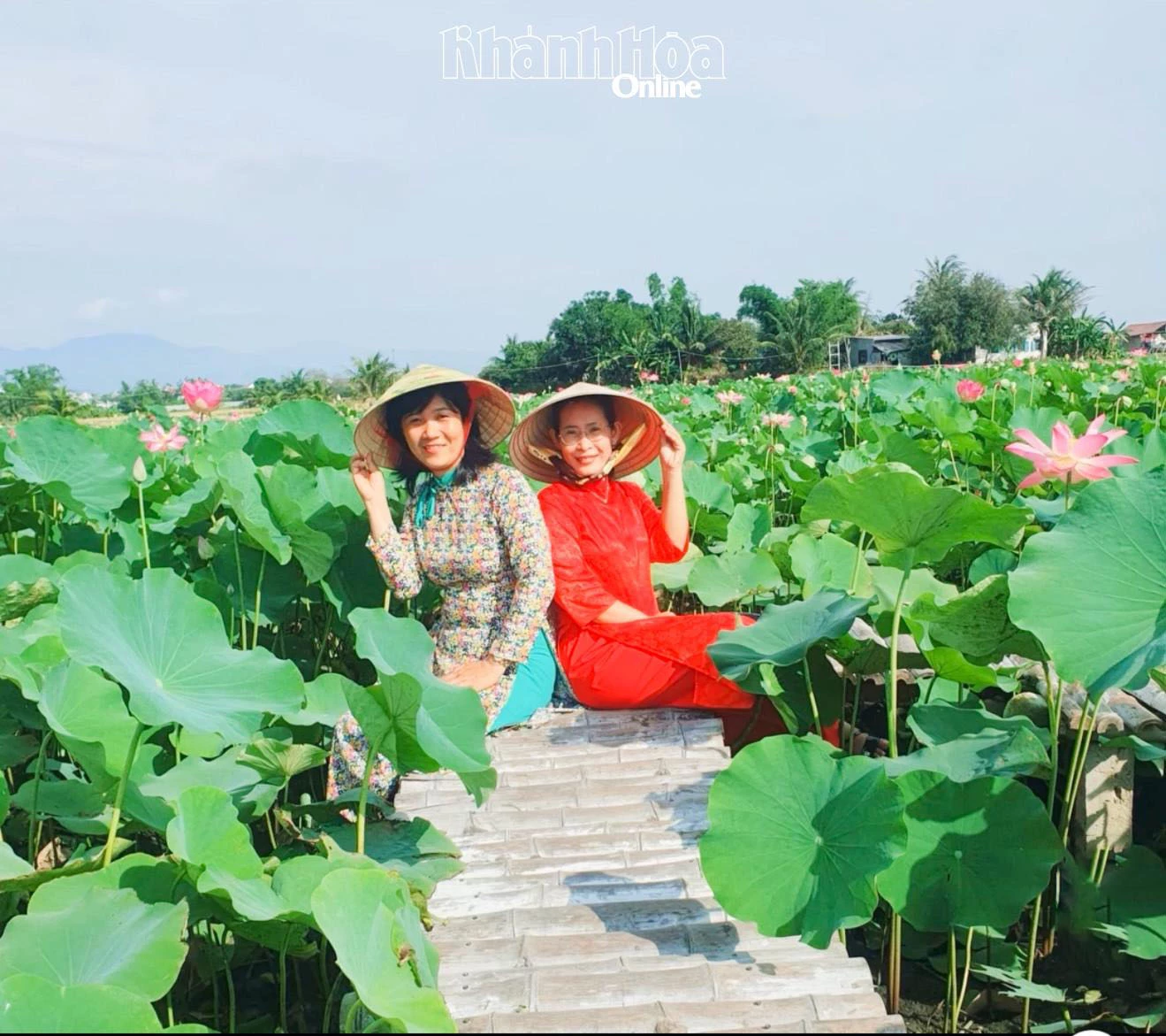 Du khách tham quan, chụp ảnh giữa không gian đầm sen Mỹ Nghiệp.