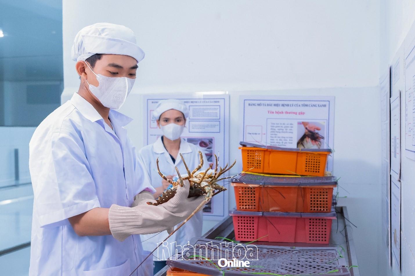KLC Seafood nâng cao chuẩn hóa quy trình thu mua, kiểm soát chất lượng và xuất khẩu.