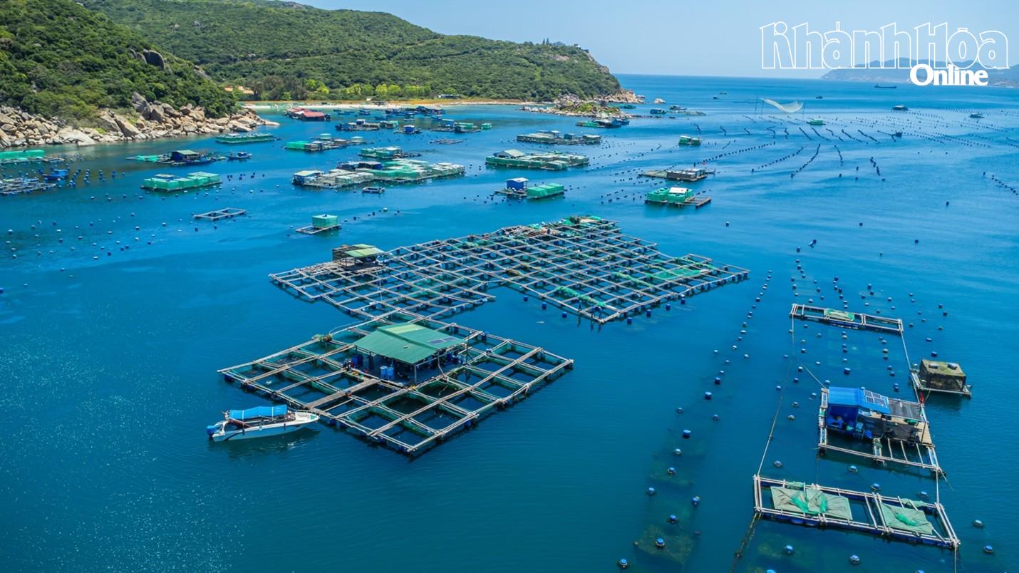 KLC Seafood phát triển vùng nuôi liên kết quy mô 884 ha, góp phần ổn định nguồn cung và nâng chuẩn chuỗi giá trị thủy hải sản cao cấp Việt Nam.