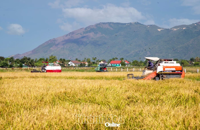Kiểm tra, giám sát việc đăng ký kinh doanh của doanh nghiệp, hợp tác xã