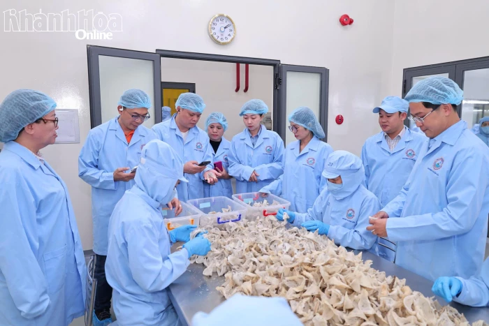 Công ty Yến sào Khánh Hòa: Tăng trưởng mạnh mẽ trong bối cảnh biến động toàn cầu