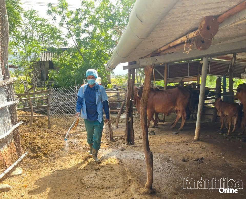 Thực hiện phun thuốc tiêu độc, khử trùng tại các chuồng trại trên địa bàn xã.