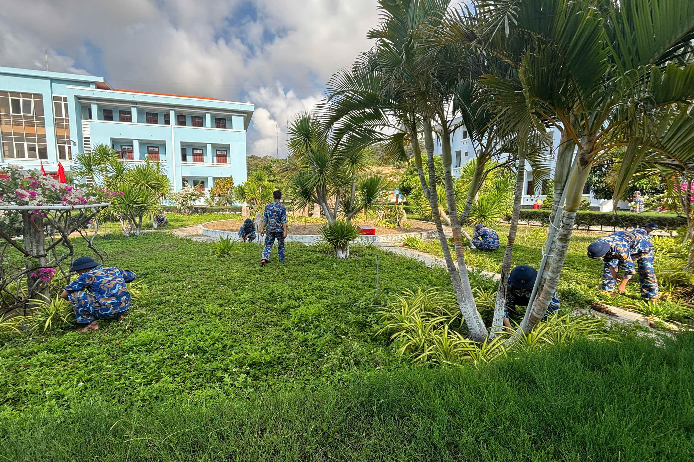 Chăm sóc cây xanh, cảnh quan đơn vị.