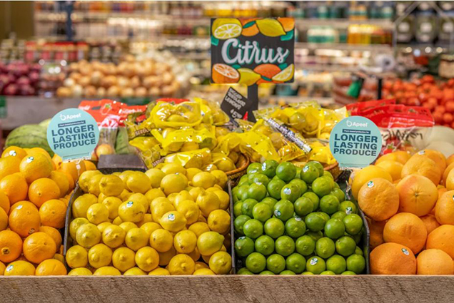 Sáu sáng kiến đổi mới có thể giúp nuôi sống 10 tỷ người trên thế giới