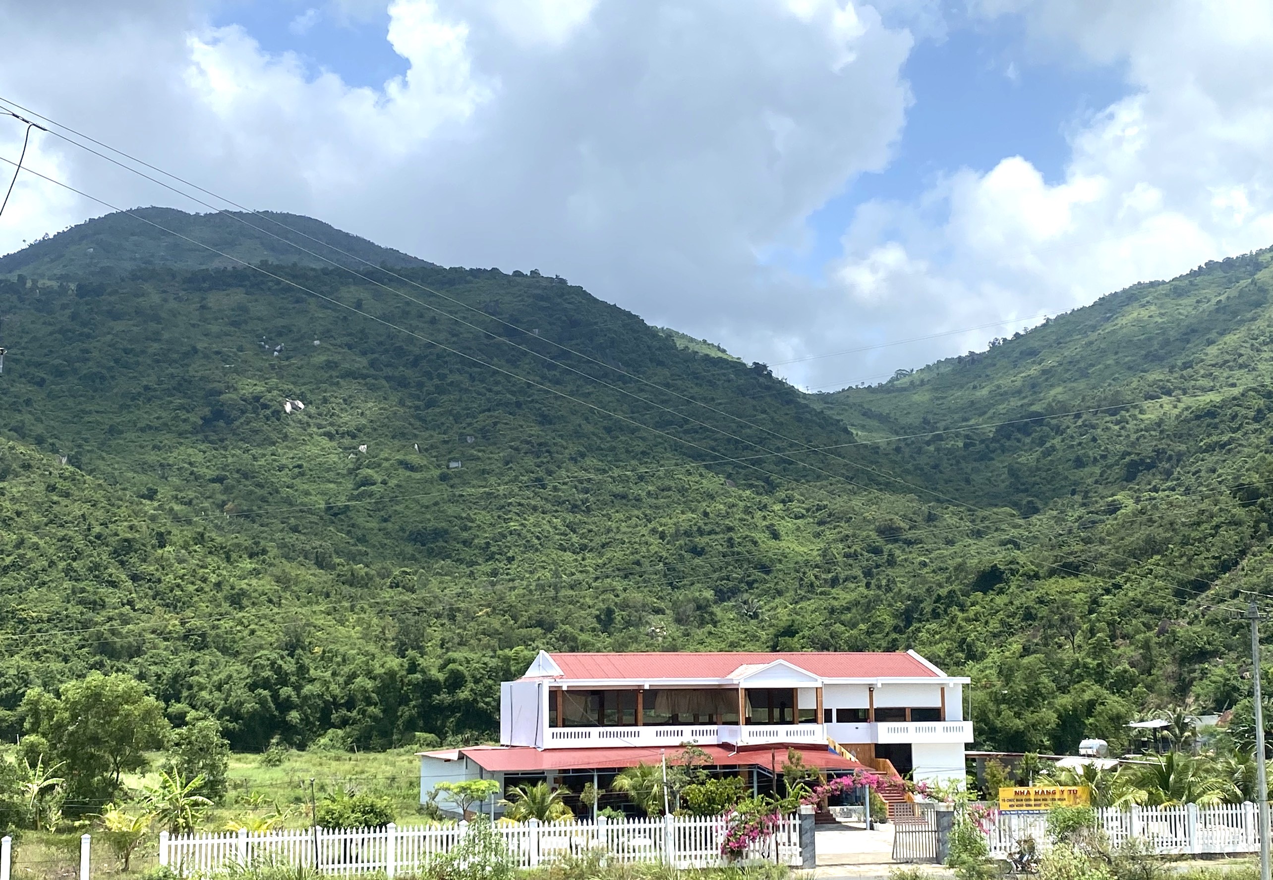 Khu vực đất rừng sản xuất tại xã Đại Lãnh xảy ra nhiều sai sót trong việc cấp giấy chứng nhận quyền sử dụng đất.