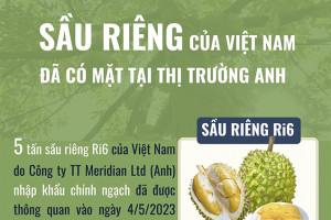 Sầu riêng của Việt Nam đã có mặt tại thị trường Anh