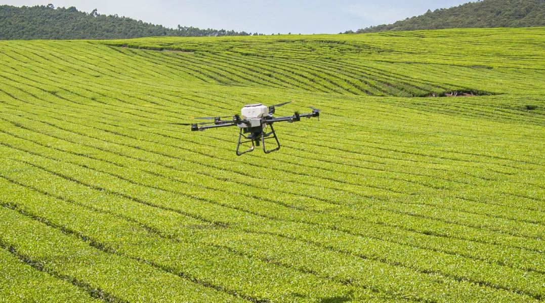 Máy bay không người lái có thể được sử dụng để thu thập dữ liệu nông nghiệp