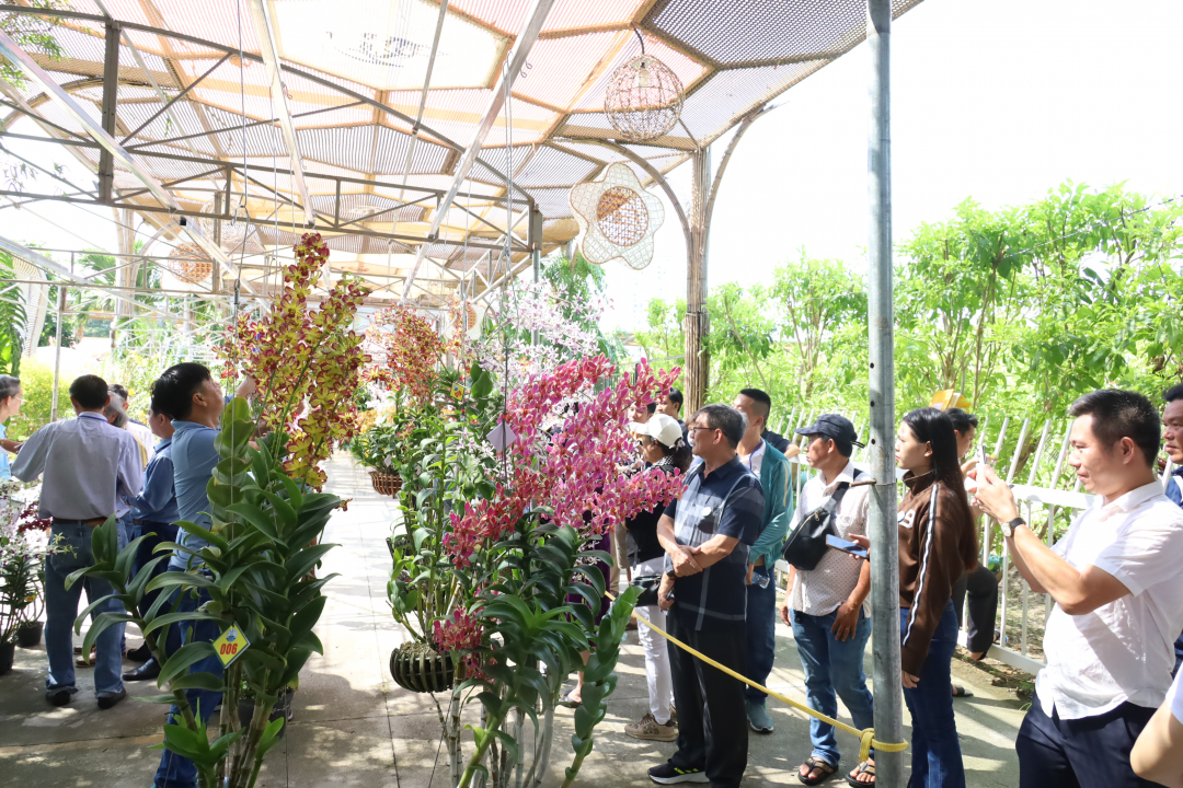 People viewing orchid works displayed at the contest

