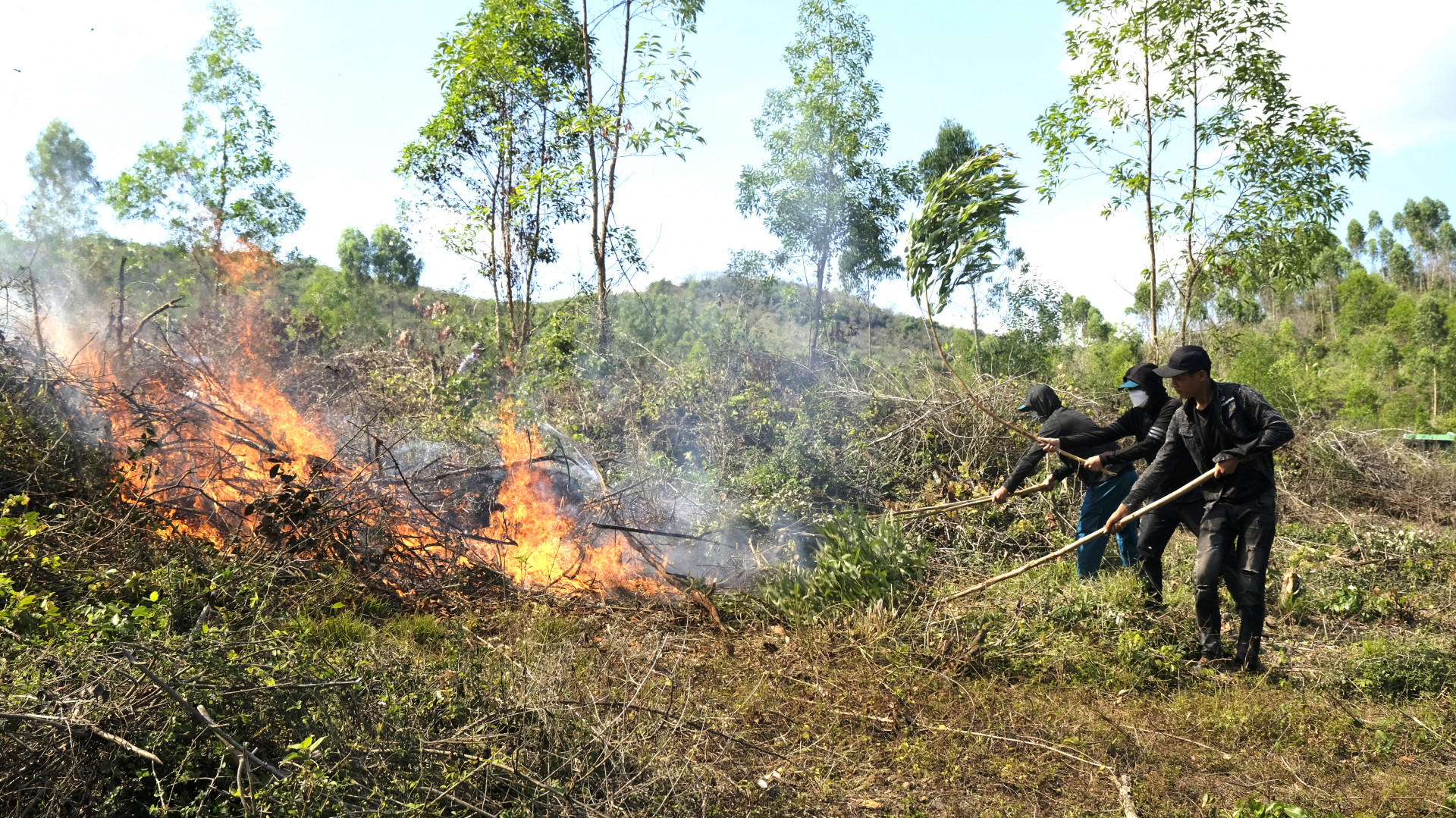 Diện tích rừng tại Tiểu khu 77 (xã Ninh Xuân) bị cháy lan, người dân địa phương tiến hành dập lửa ban đầu
