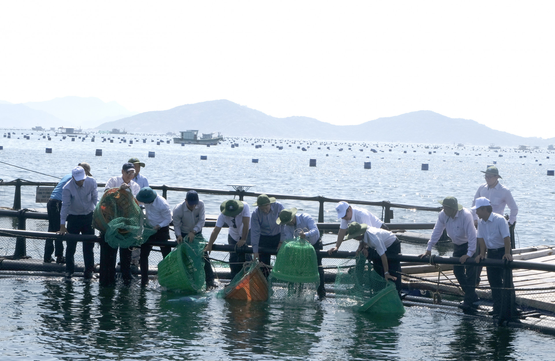 Các vị lãnh đạo tỉnh Khánh Hòa và Quỹ Thiện Tâm - Tập đoàn Vingroup, lãnh đạo các sở, ngành địa phương thả cá giống vào lồng nuôi