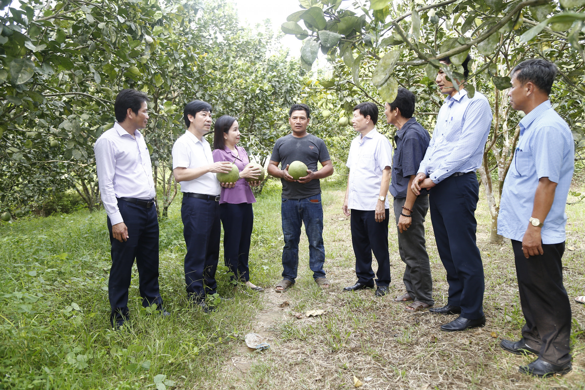 Lãnh đạo HND Việt Nam, HND tỉnh tham quan mô hình kinh tế hiệu quả của nông dân Cao Nhâm ở Khánh Thành