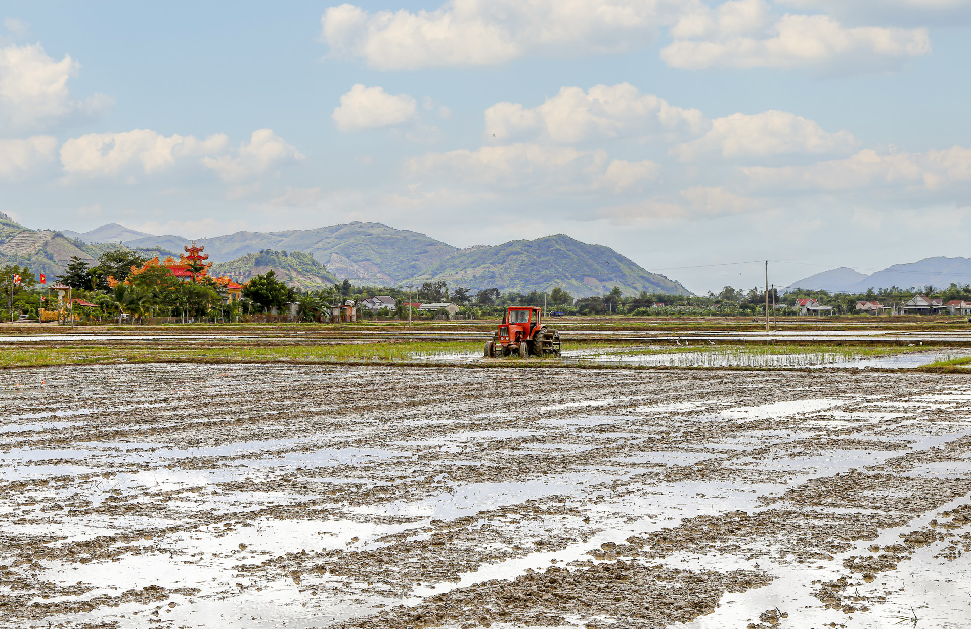 Nông dân hiện nay đang tập trung làm đất để gieo sạ lúa hè thu