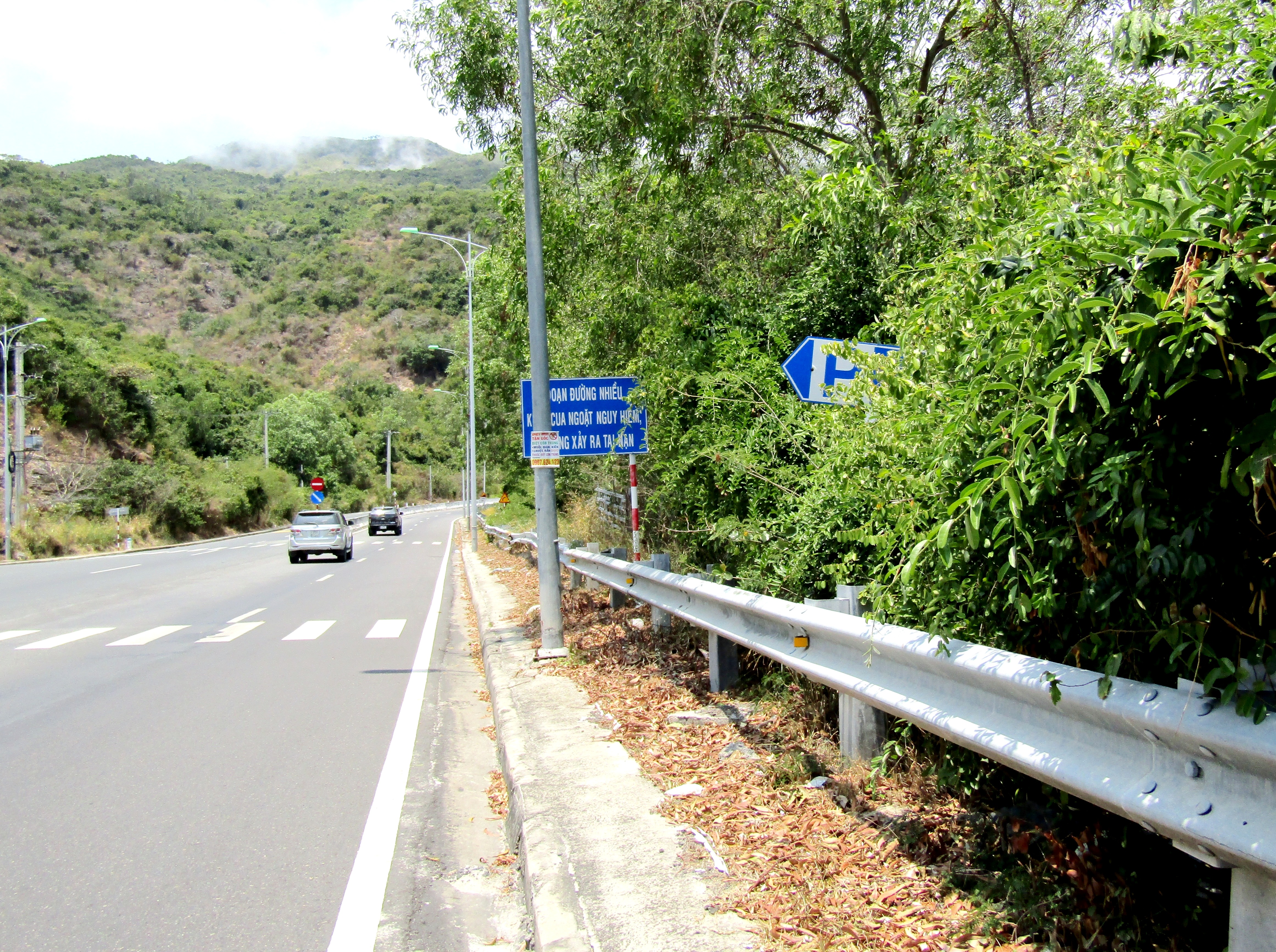 Biển báo bãi đỗ xe bị cây xanh che khuất