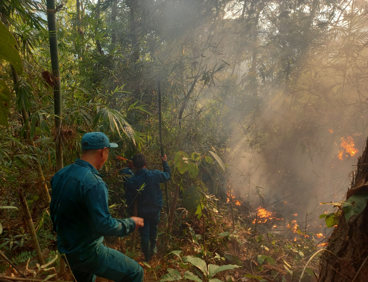 Lực lượng bảo vệ rừng của Ban quản lý rừng Phòng hộ Nam Khánh Hòa ngăn không cho đám cháy ở xã Sơn Hiệp lan vào rừng