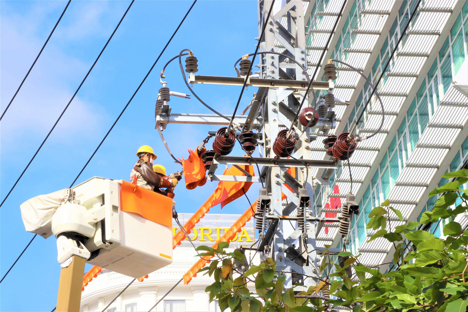 Sửa chữa lưới điện tại TP. Nha Trang.
