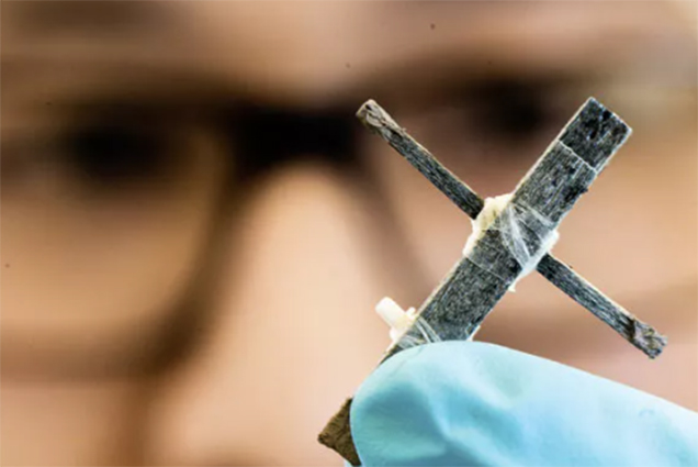 Thụy Điển phát triển thành công transistor bằng gỗ đầu tiên thế giới