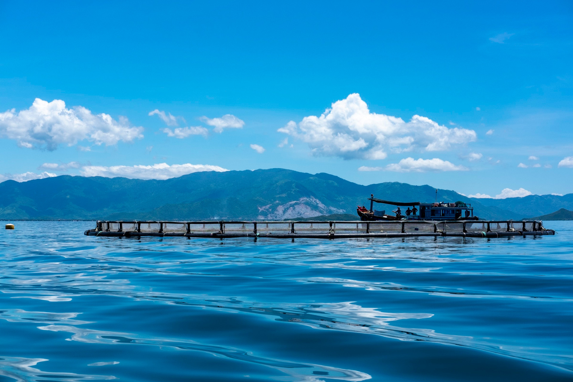 Trên vịnh Vân Phong đã có một số doanh nghiệp sử dụng lồng nuôi vật liệu HDPE để nuôi cá biển quy mô công nghiệp
