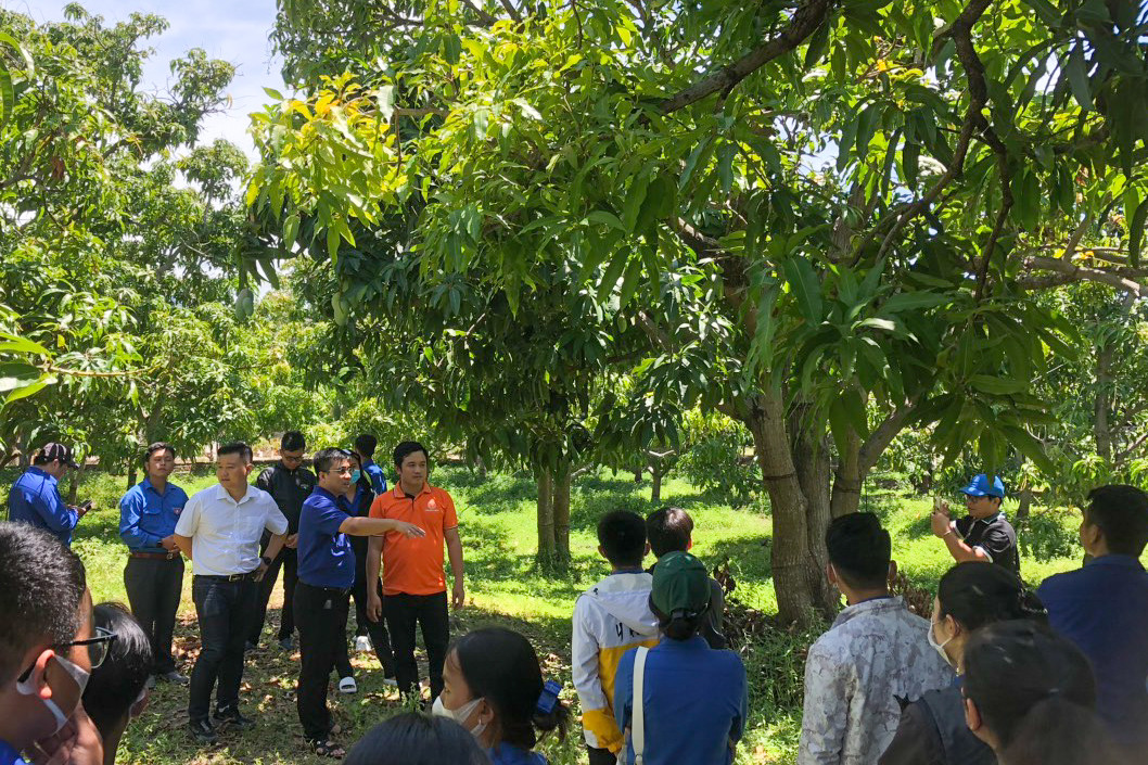 Các đoàn viên, thanh niên tham quan mô hình khởi nghiệp của thanh niên huyện Cam Lâm 