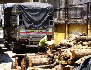 Hạt Kiểm lâm Diên Khánh: Tạm giữ 1 xe ô tô chở gỗ trái phép