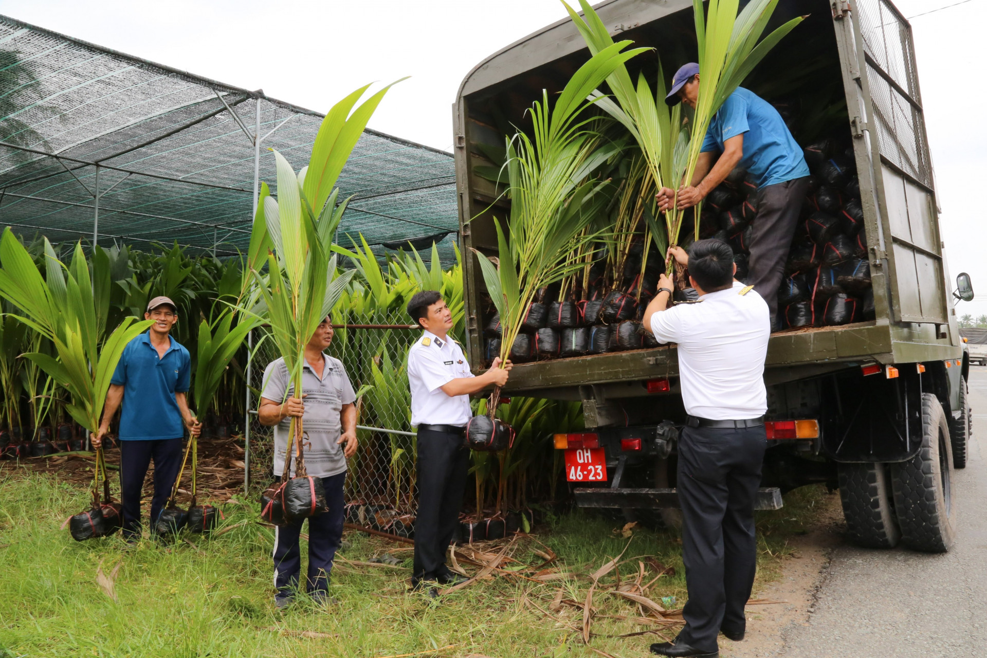 Tổ chức tiếp nhận giống cây do tỉnh Bến Tre trao tặng