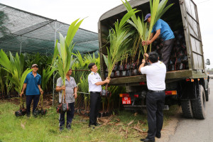 Tiếp nhận hơn 10.000 cây giống do tỉnh Bến Tre trao tặng huyện Trường Sa