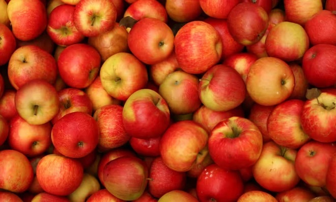 Táo gọt vỏ và chưa gọt vỏ: Loại nào tốt hơn cho sức khỏe của bạn?