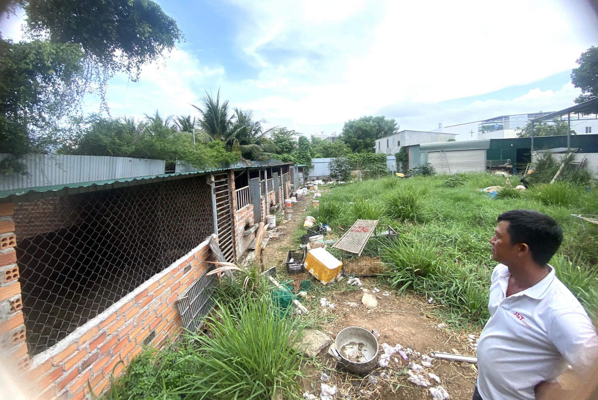 Trại chăn nuôi gia súc, gia cẩm của gia đình bà Nguyễn Thị Hồng Đào gây ô nhiễm môi trường.