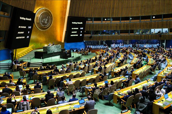 Một phiên họp của Đại hội đồng Liên hợp quốc. Ảnh: AFP/TTXVN

