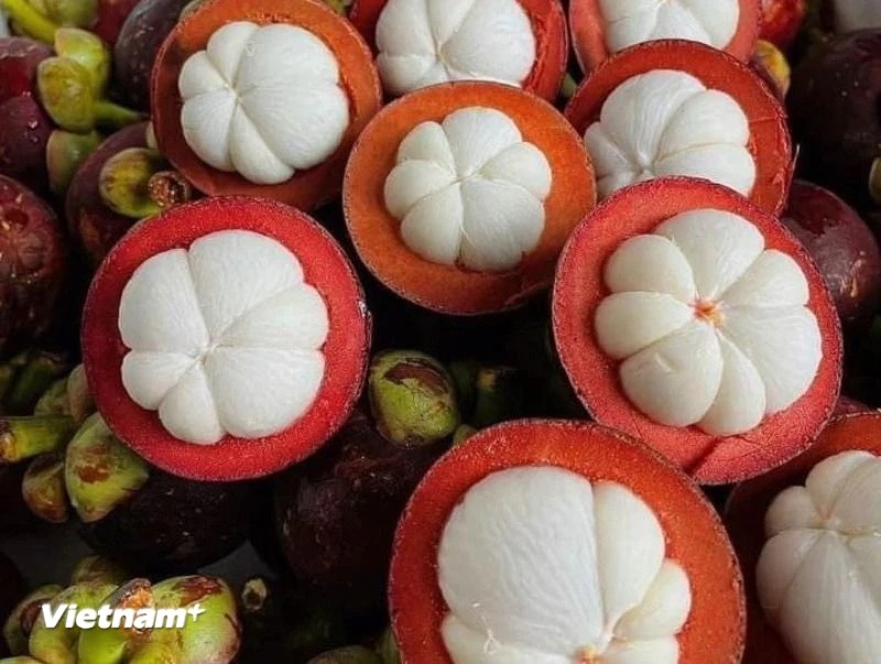 Những lợi ích tuyệt vời của 'nữ hoàng trái cây' măng cụt